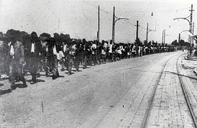 Kolona zarobljenika sa Kozare na ulasku o logor na Sajmi&scaron;tu u leto 1942. godine